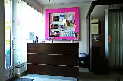 Linea Studio